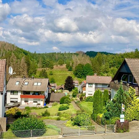 Haus Wilma Altenau (Lower-Saxony) Exterior foto